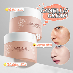 60G OEM Hautpflegeprodukte Camellia Flower Anti - Oxidationsmittel Feuchtigkeitsspender Reparatur Gesichtscreme