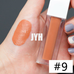 3g langlebiger Lippenstift wasserdichter Matte Lipstick Red Pink