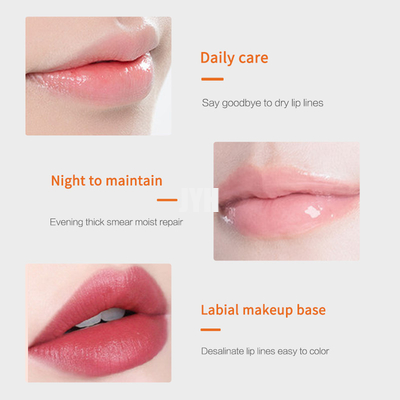 Natürliche befeuchtende Lippenbalsam-Reparatur, die organische prallere Balsam-tägliche Sorgfalt des strengen Vegetariers Lippenexfoliating ist