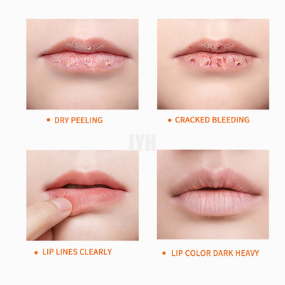 Natürliche befeuchtende Lippenbalsam-Reparatur, die organische prallere Balsam-tägliche Sorgfalt des strengen Vegetariers Lippenexfoliating ist