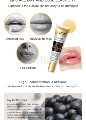 GMPC-Lipgloss, das hydratisiert wird zu befeuchten, verfeinern Trockenheits-Falten erhöht die pralle Lippe